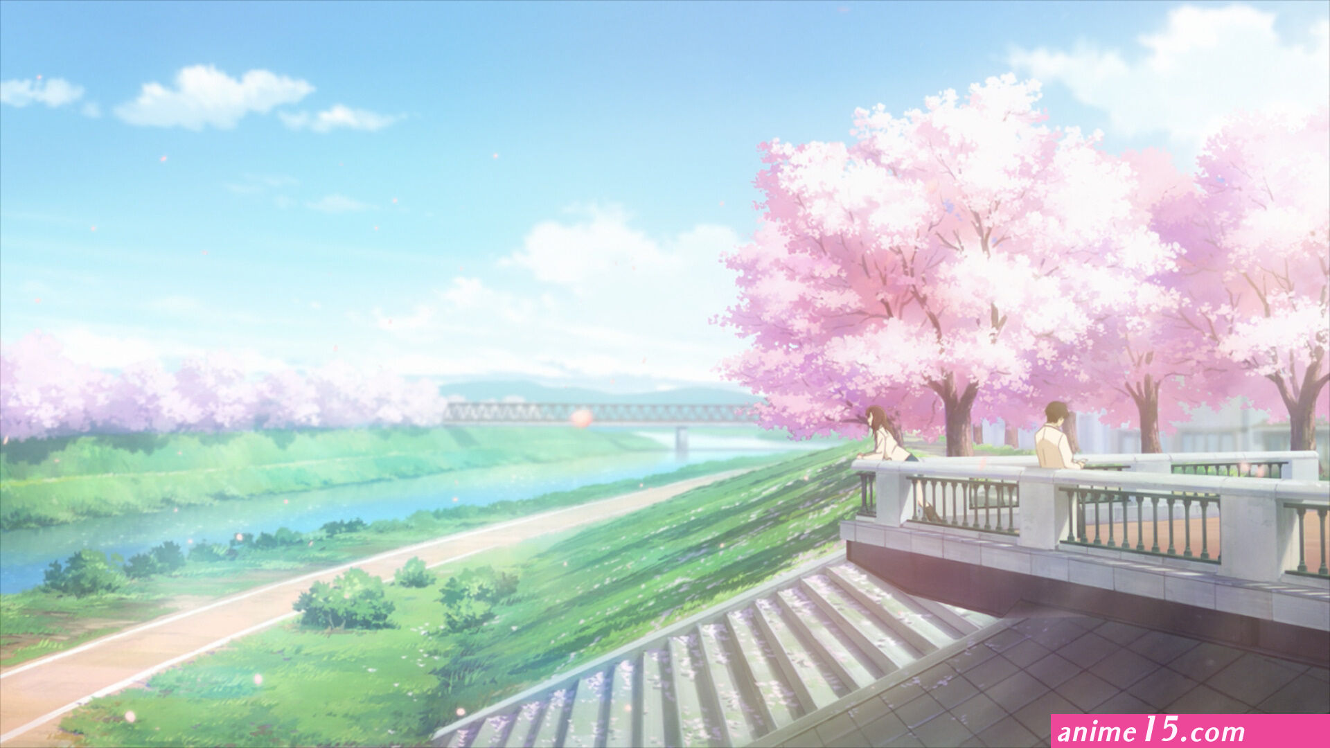 gym boy i want to eat your pancreas