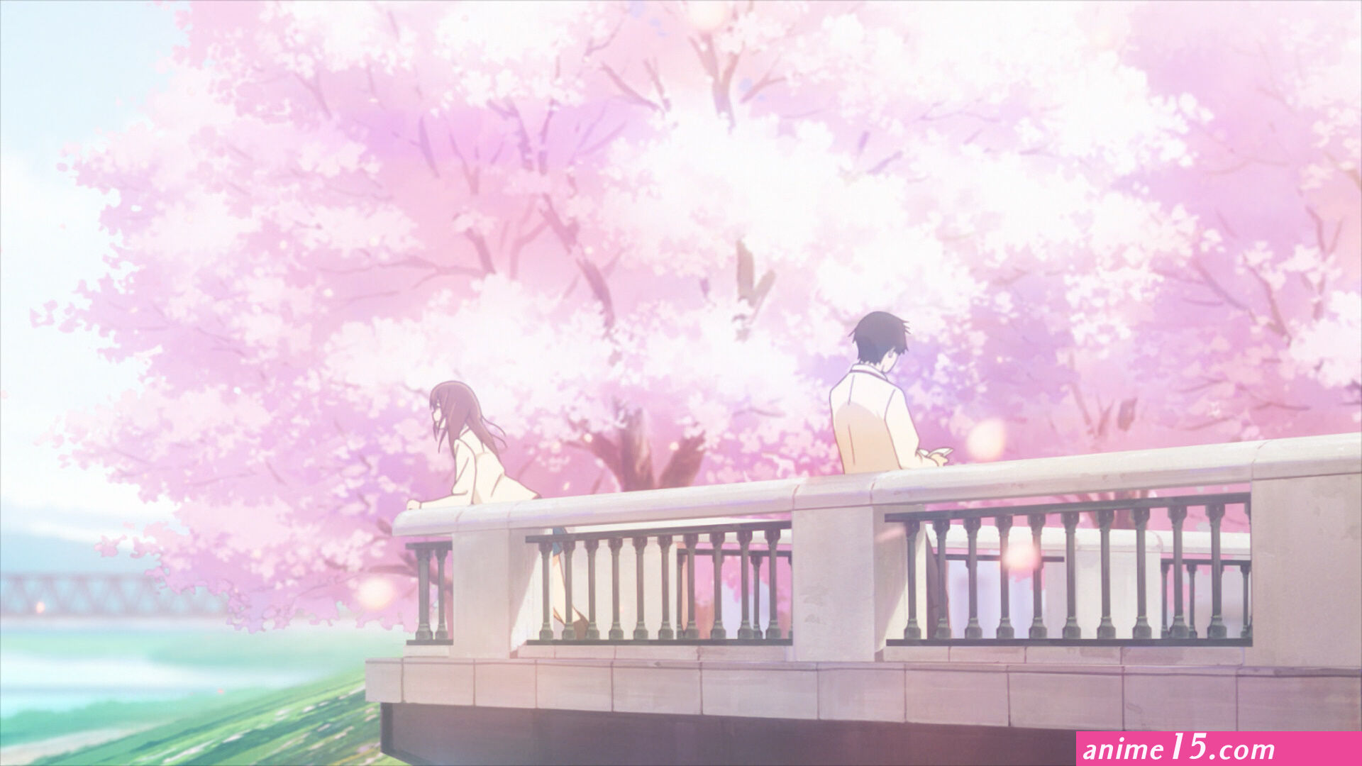 gym boy i want to eat your pancreas