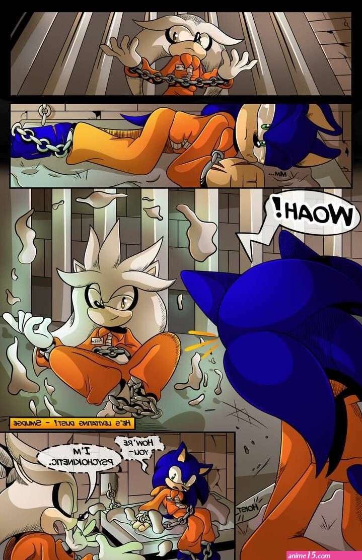 xxx sonic tails silver comics