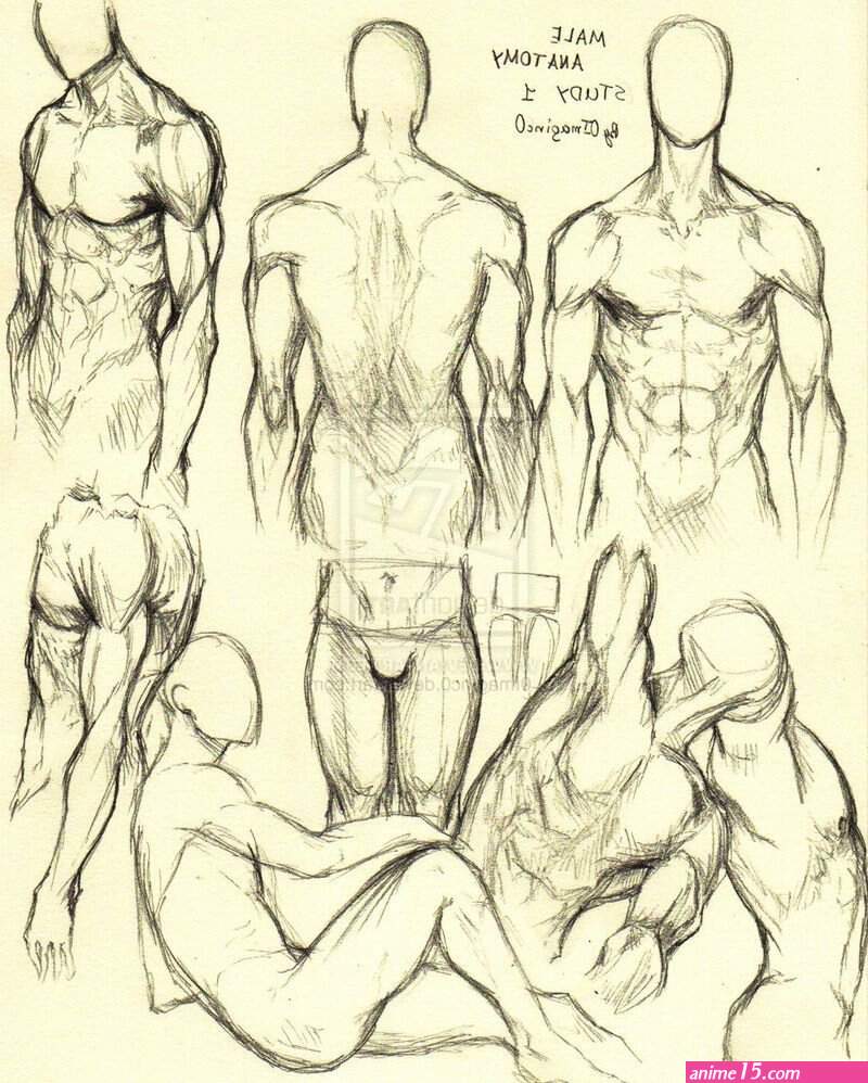 anatomy naked comics