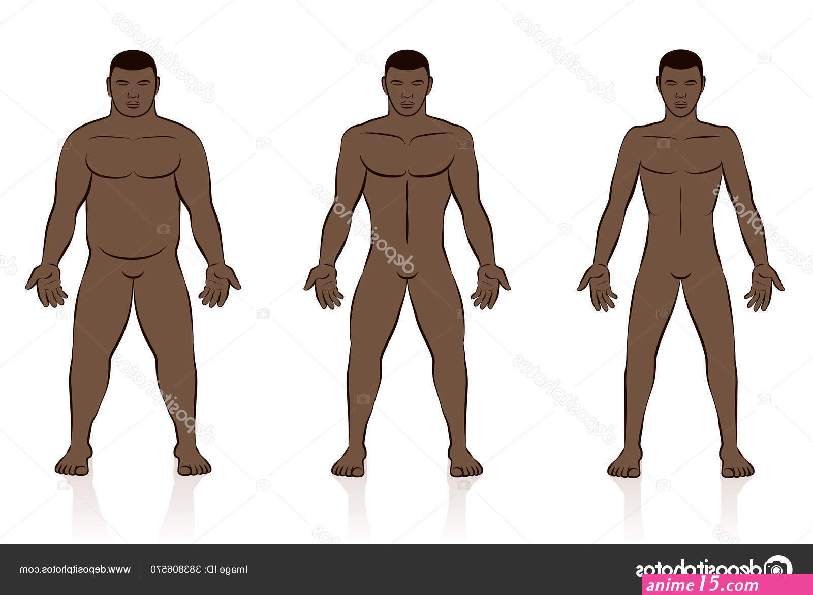 anatomy naked comics