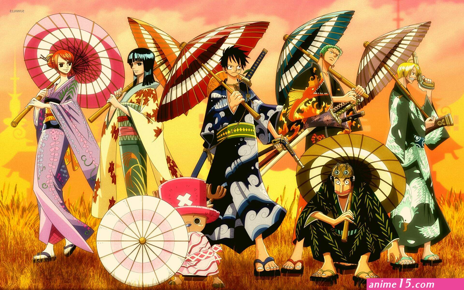 baixar one piece anime