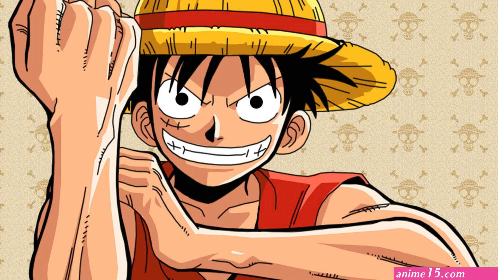 one piece todos os episódios