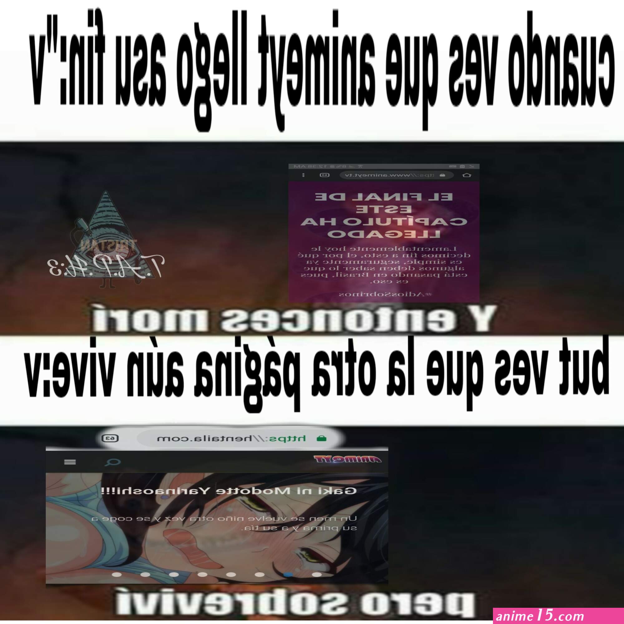 animeyt es