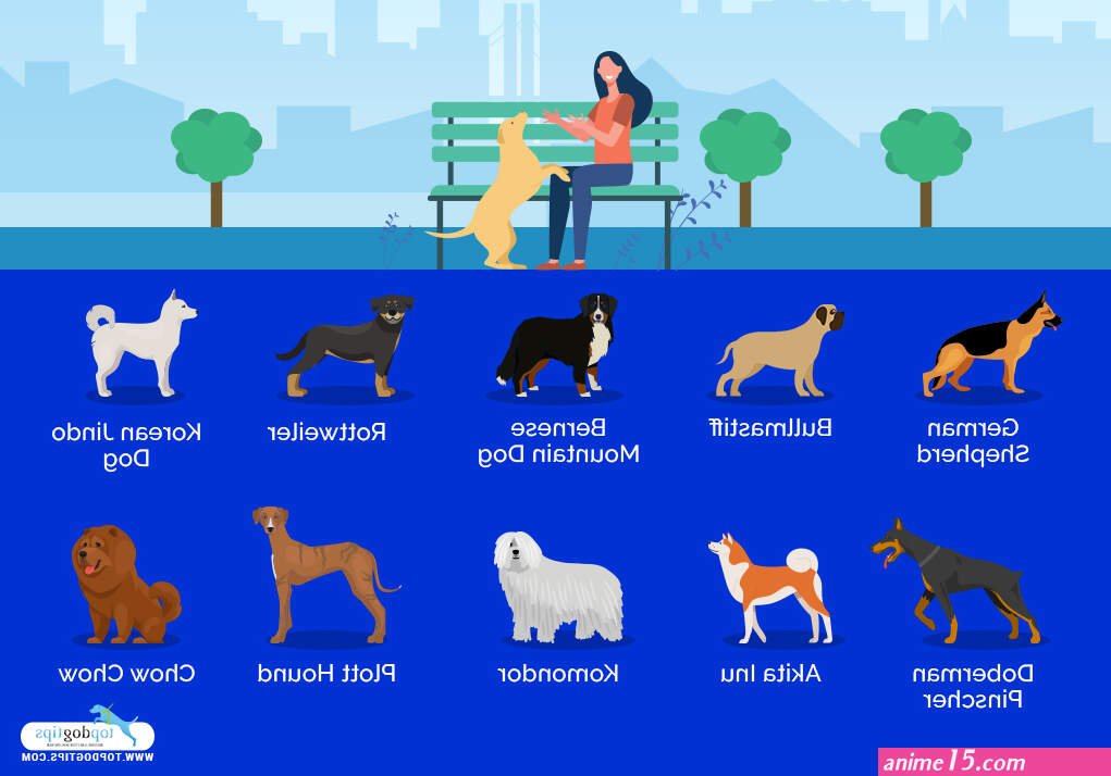 read silly dog and lady