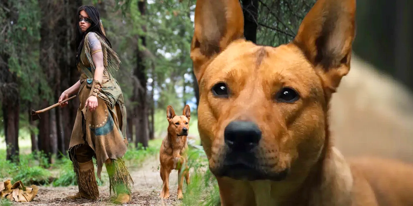 read silly dog and lady