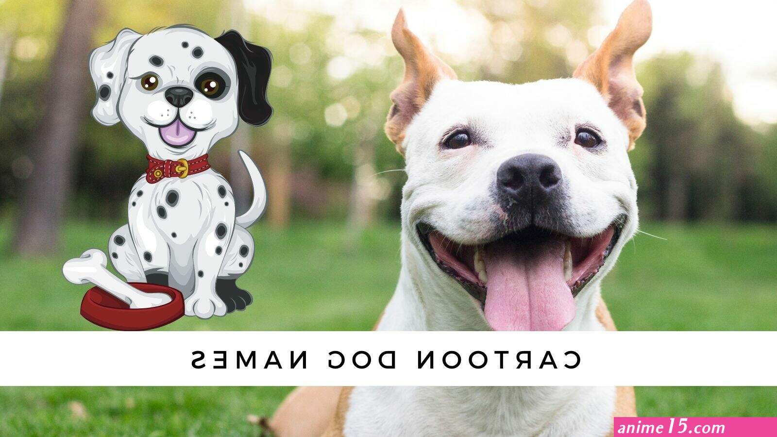read silly dog and lady