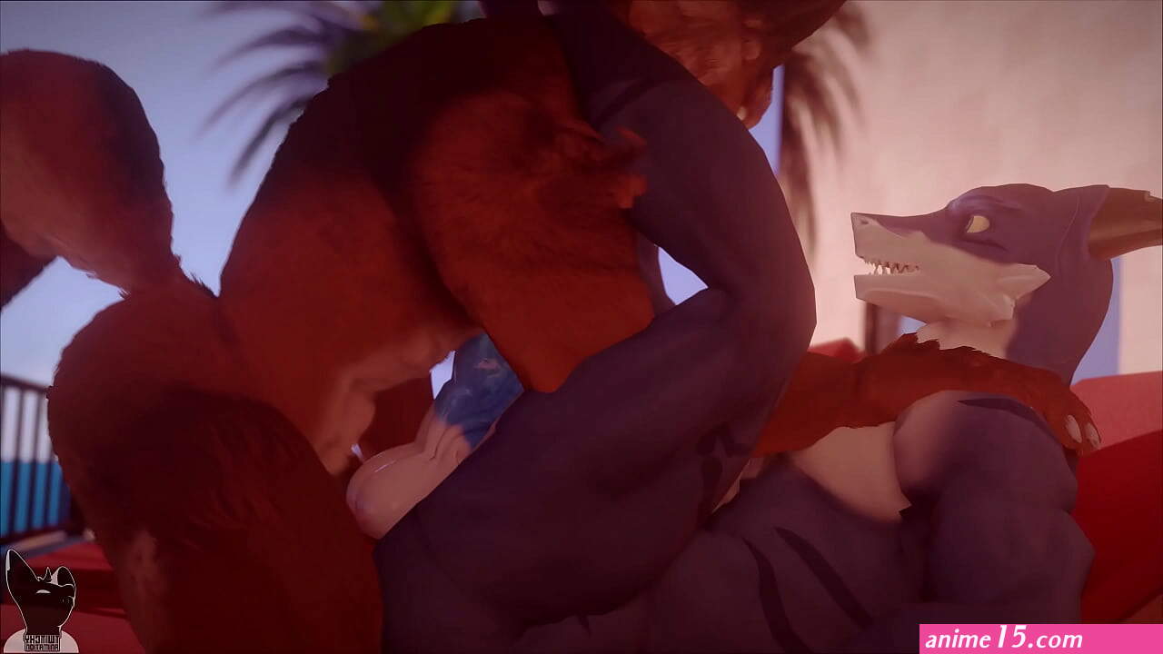 xvideo animation gay