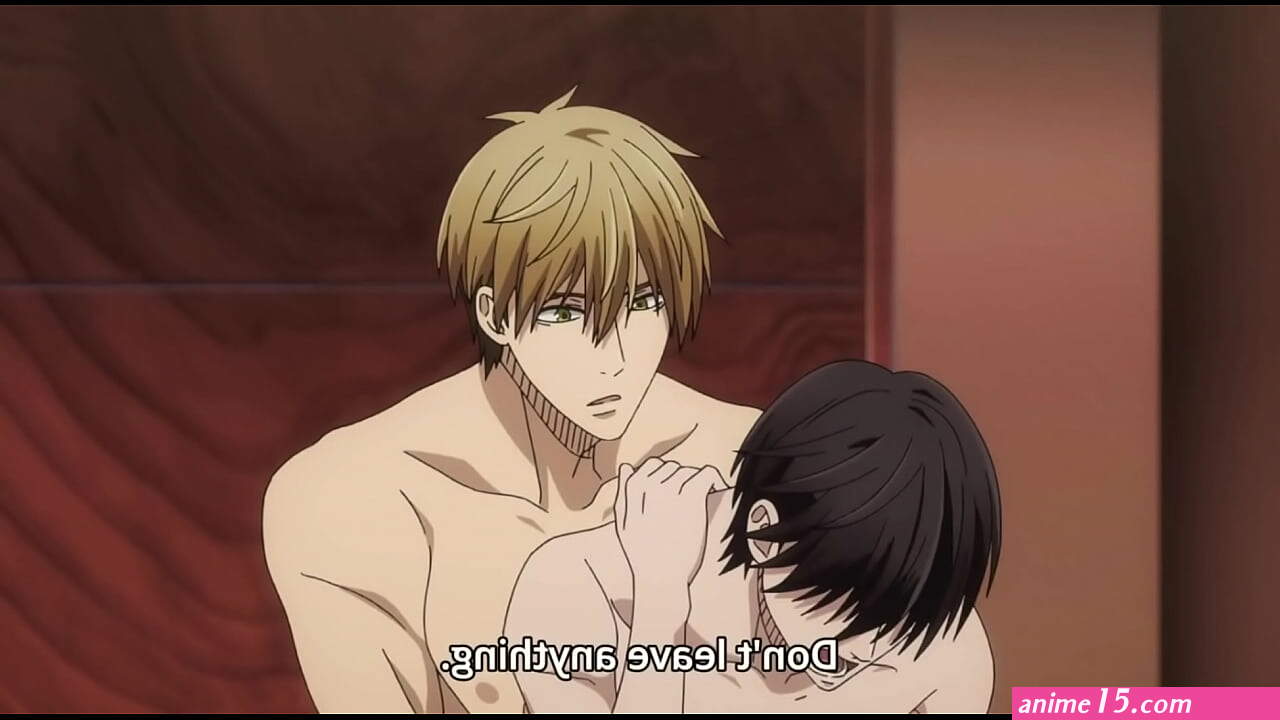 xvideo animation gay