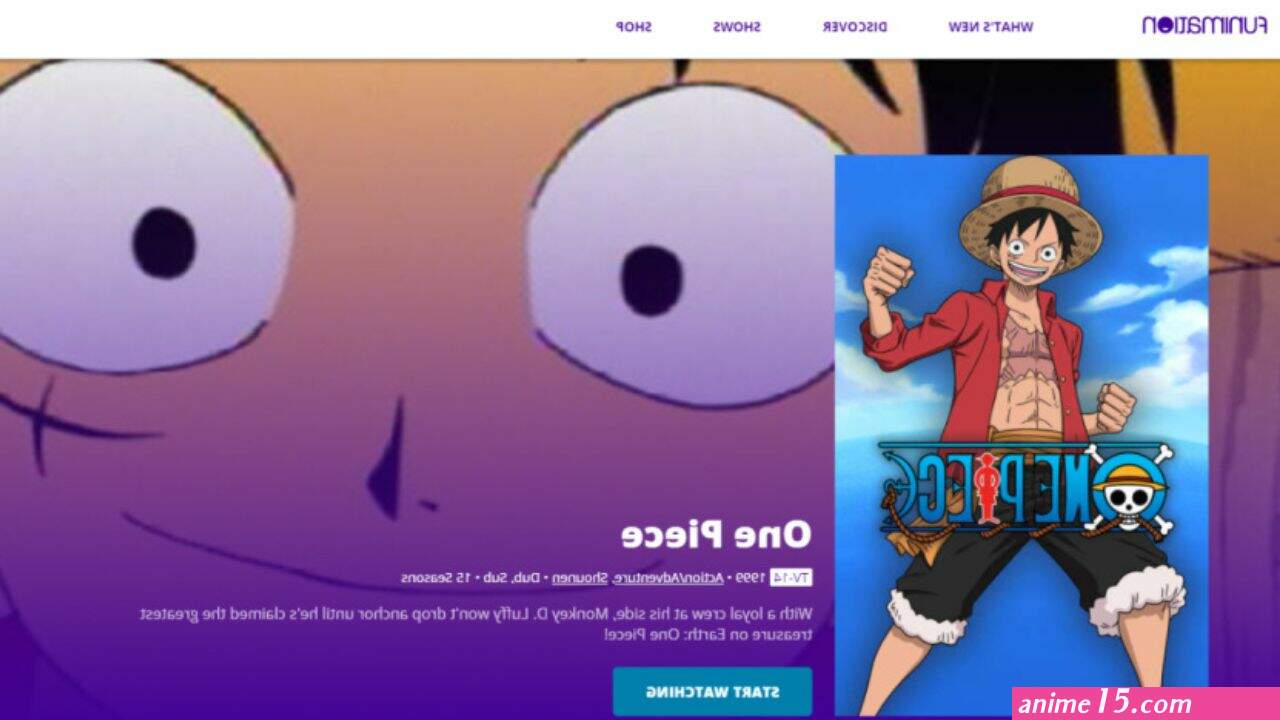 one piece dublado para assistir