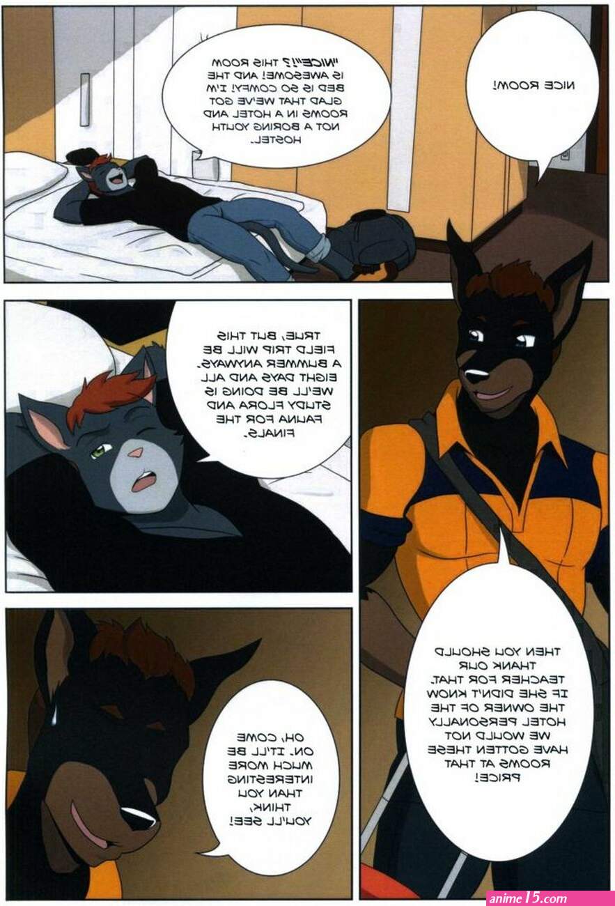 gay furry porn comics teacher