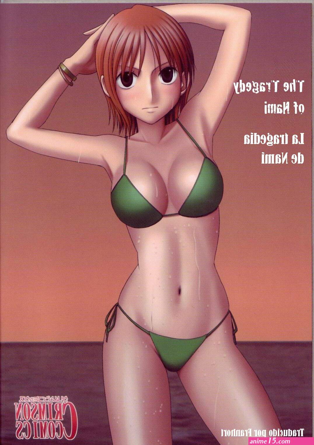 nami comics porn