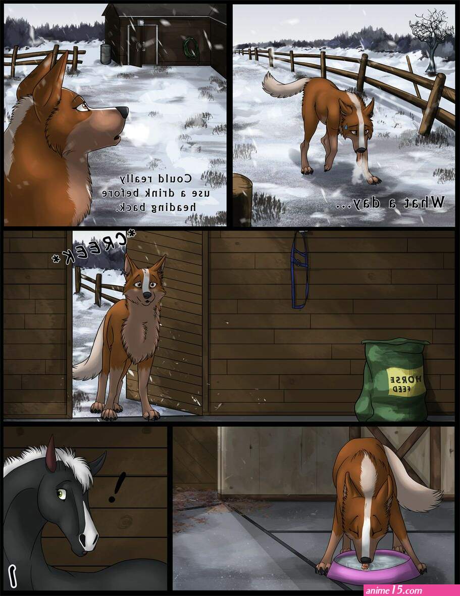 dog and horse porn comics