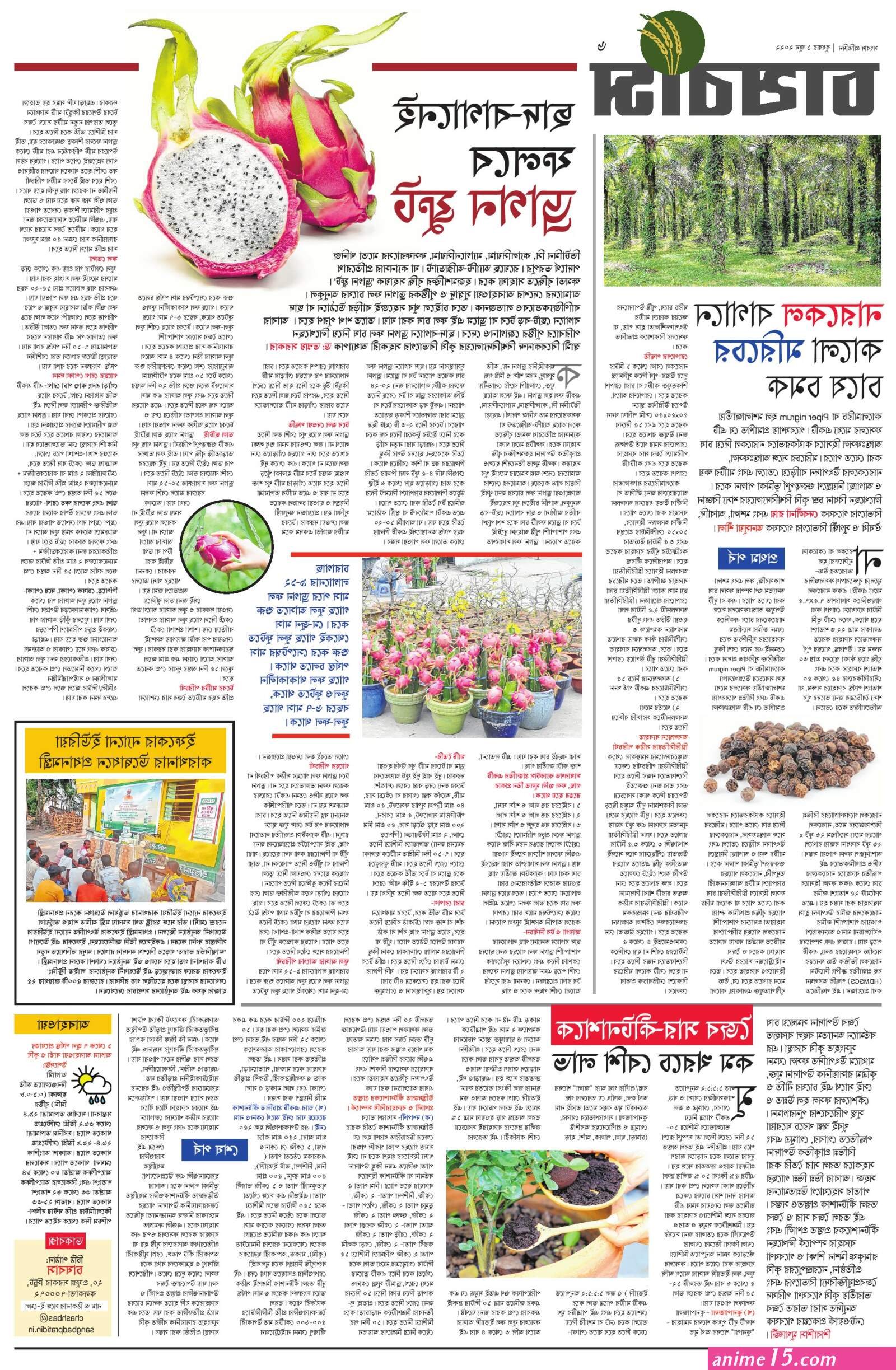 ব ন ১০ স ক স কম ক স