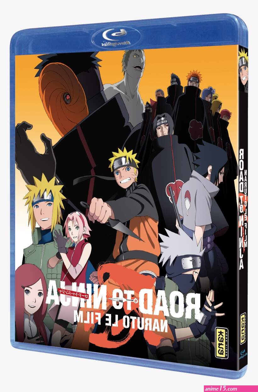 naruto shippuden vostfr