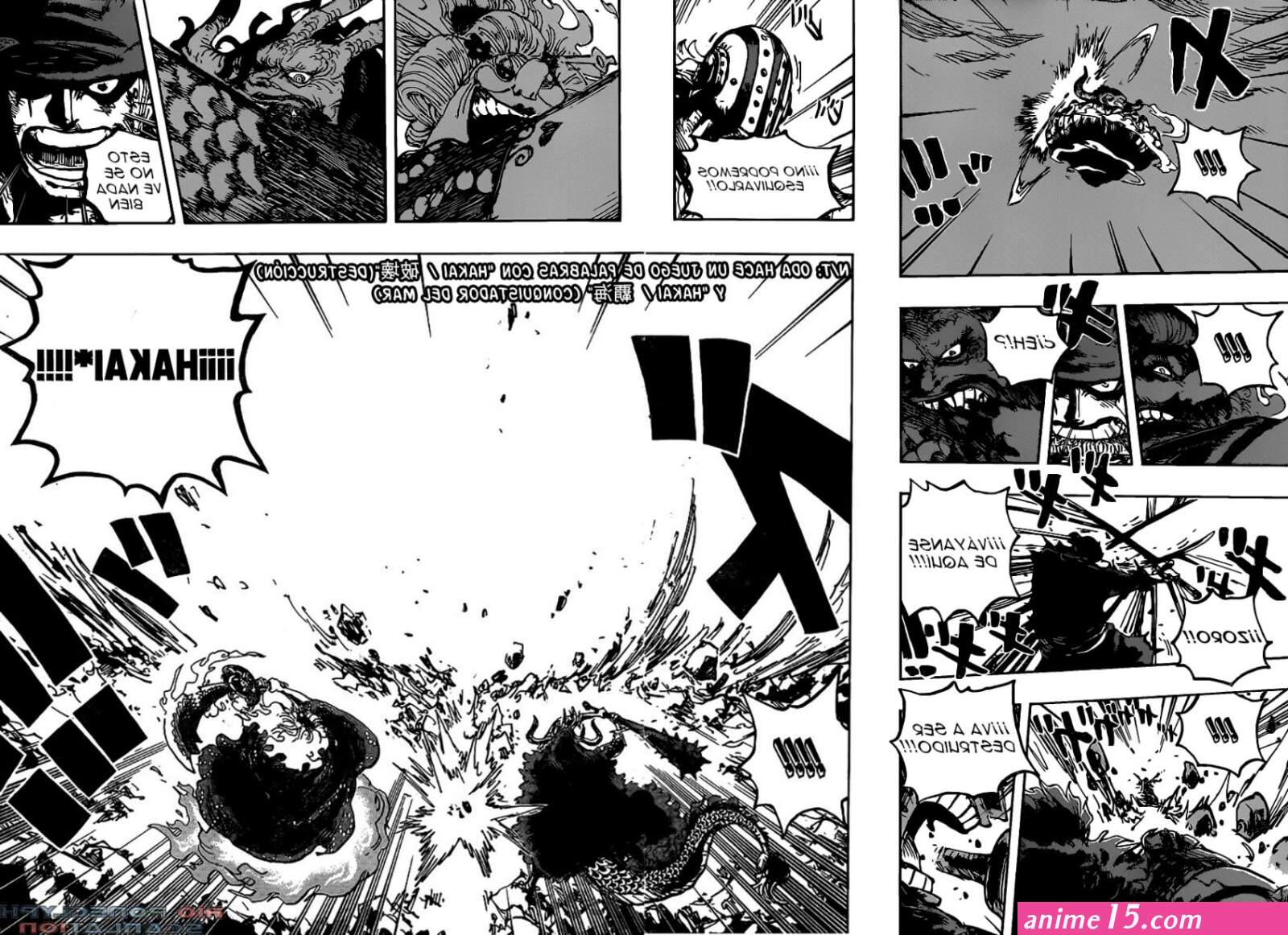 one piece capitulo 1009