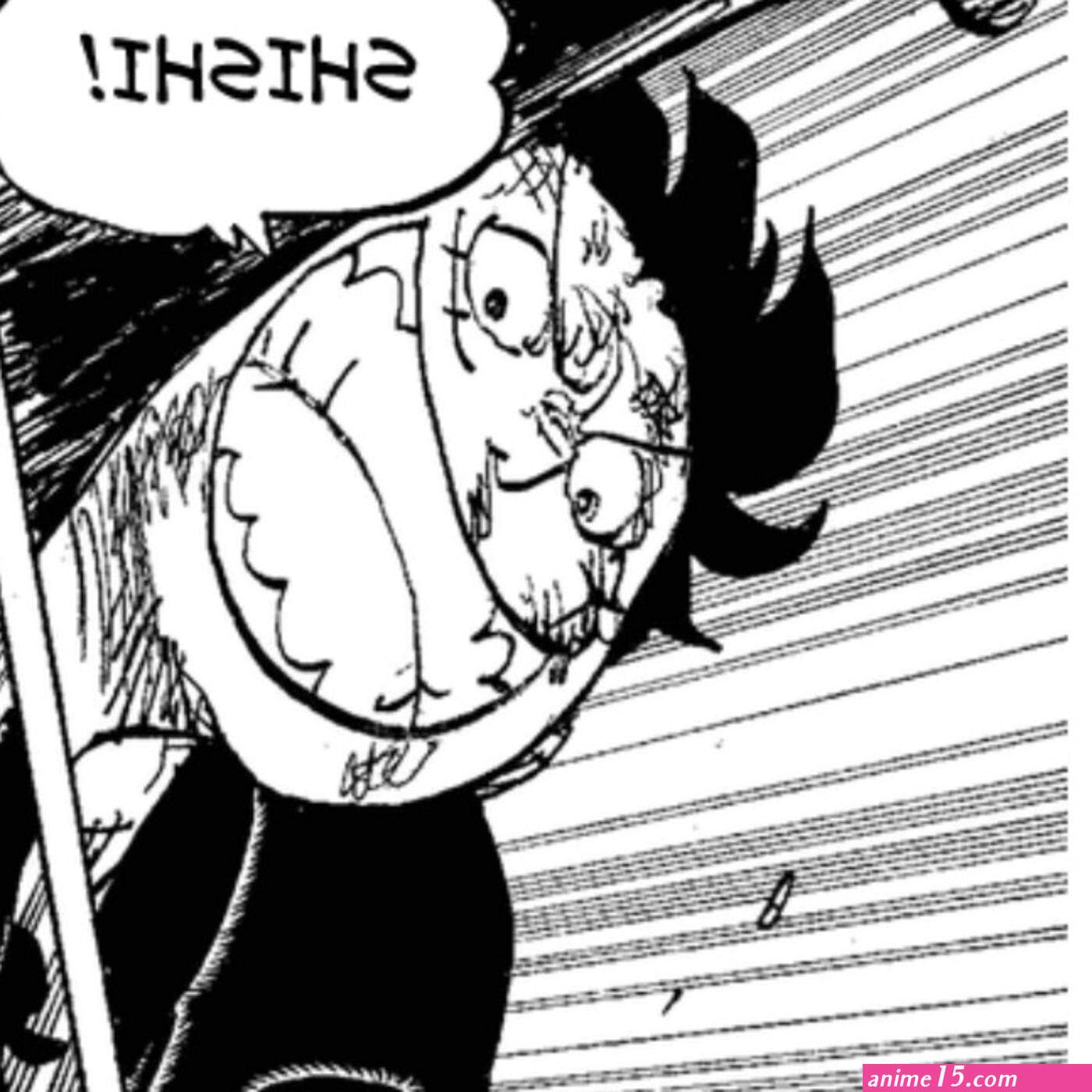 one piece capitulo 1009
