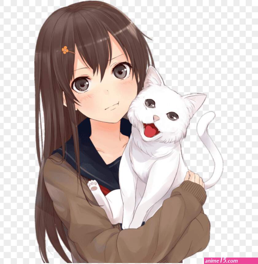 download de animes