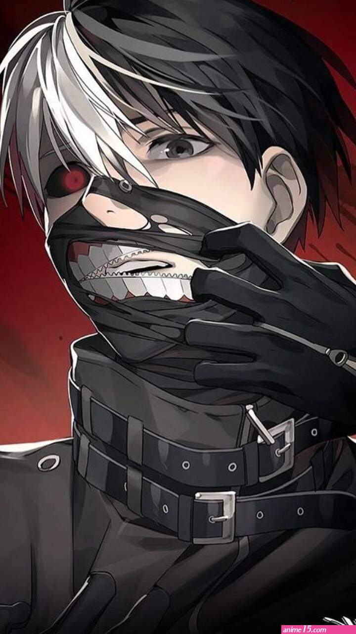 download de animes