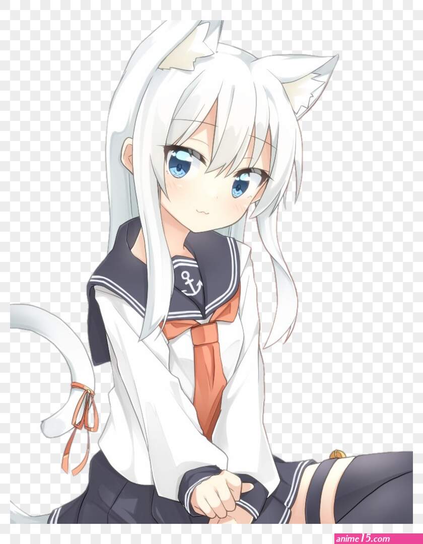 download de animes