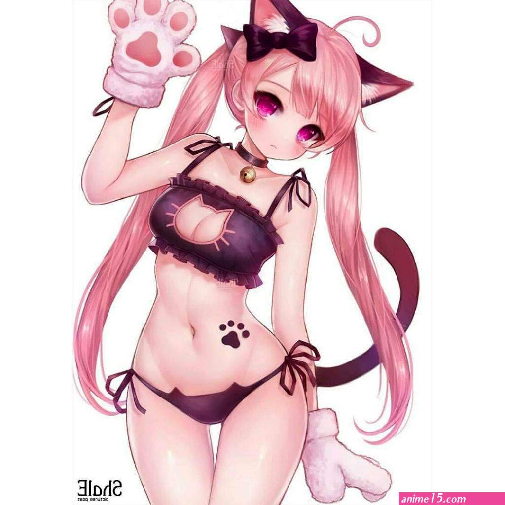 Cat Lingerie Girls are Life