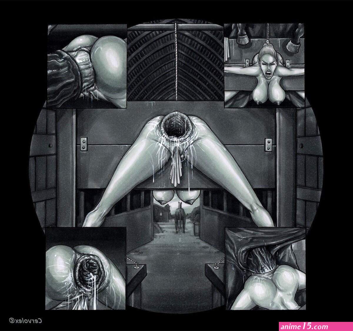 Bdsm Extreme Anal Insertions Cartoons