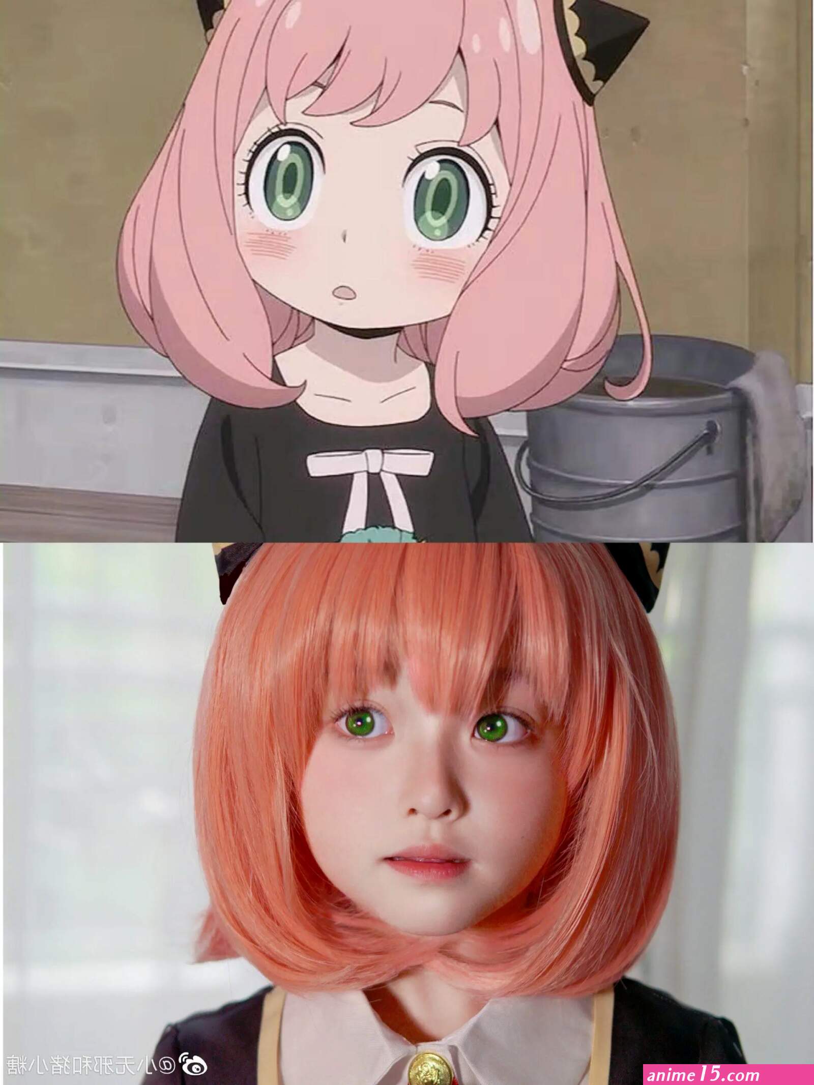 Anyas expression becomes cosplay inspiration coser competes to recreate