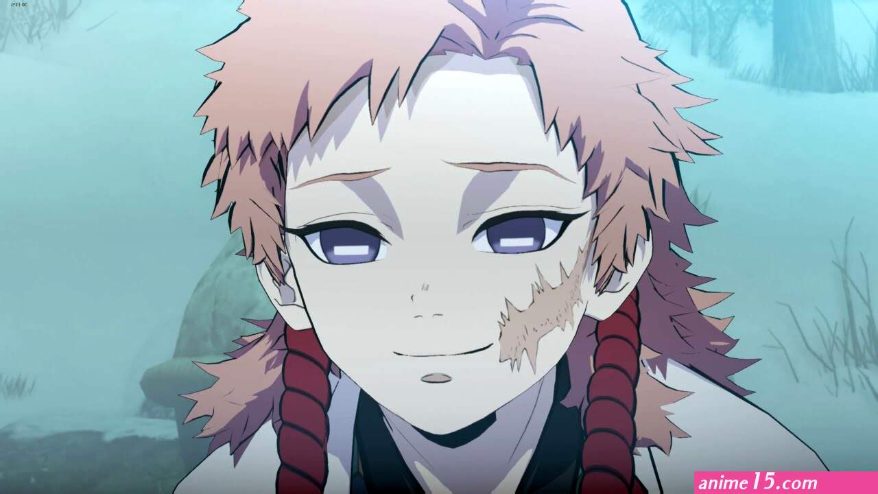 Demon Slayer -Kimetsu no Yaiba- The Hinokami Chronicles on Steam animes online