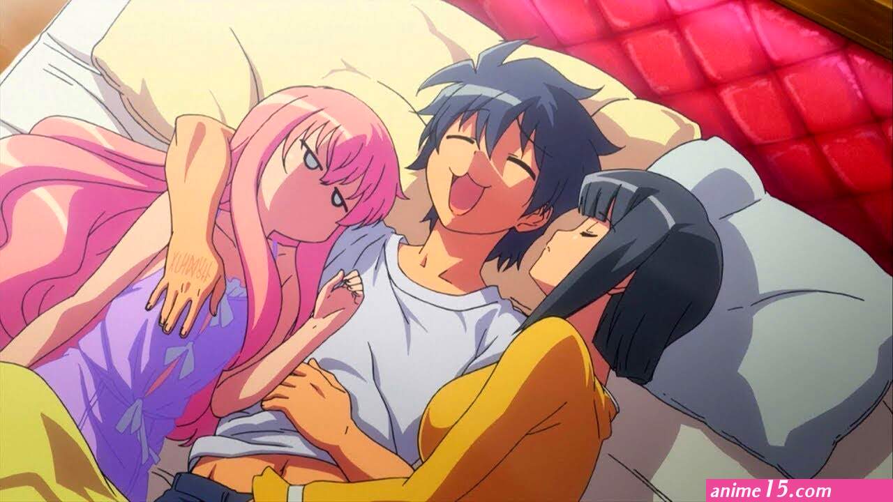 Top 10 HaremComedy Anime