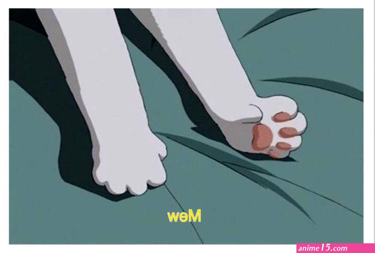 Pin by Lilprincess on Anime Aesthetic anime Anime scenery Anime cat