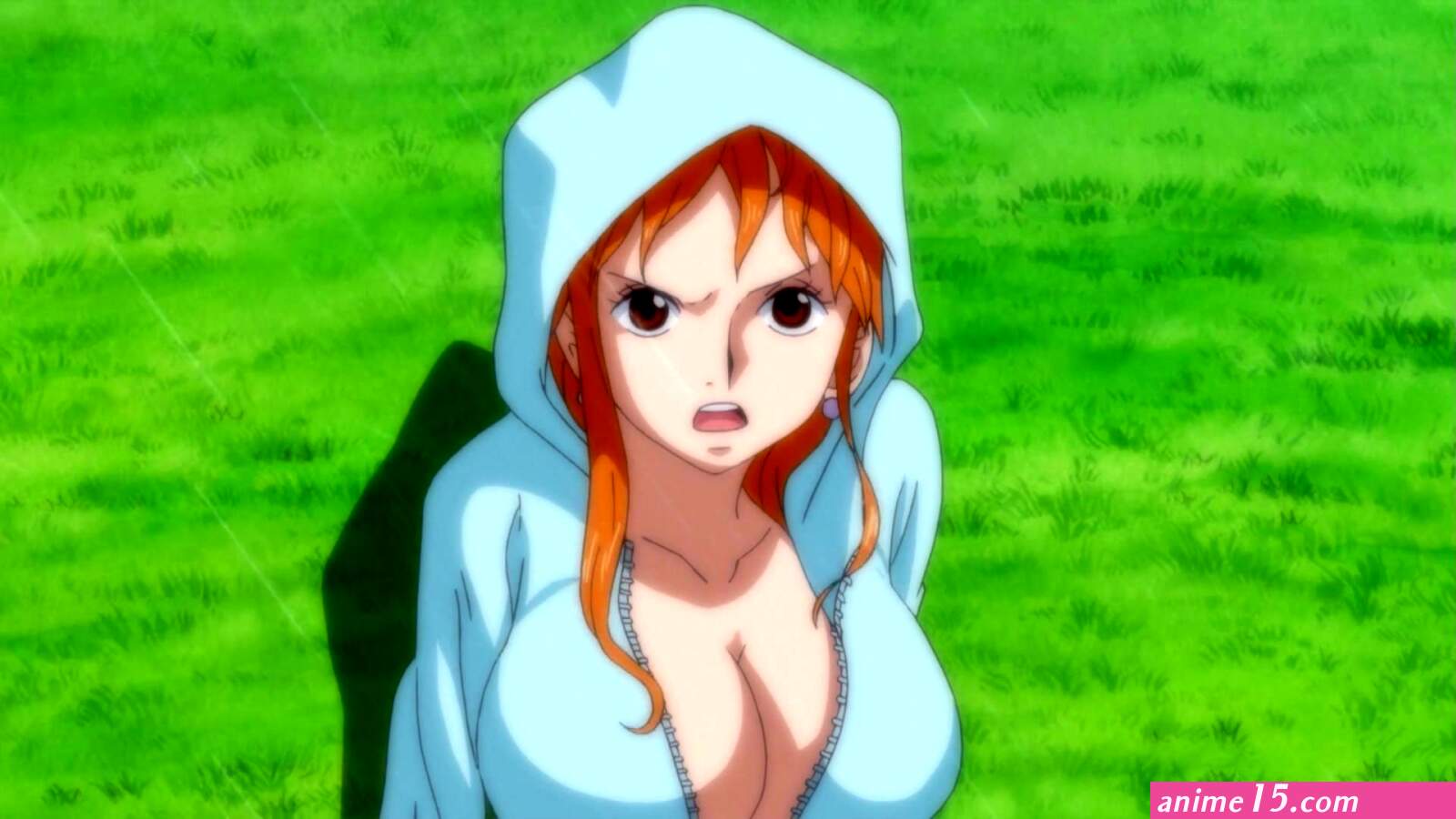 One Piece Image Fancaps