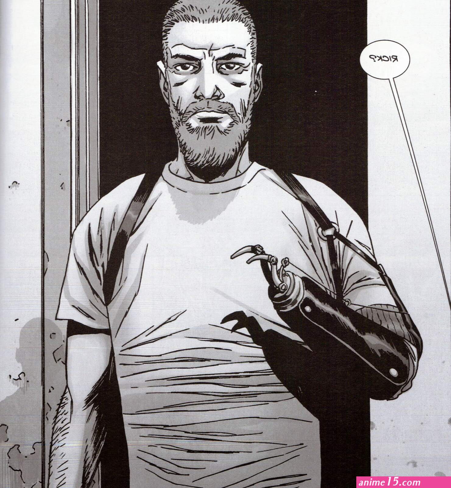 Iron Jean-Paul: Comic Book Beard: Rick Grimes