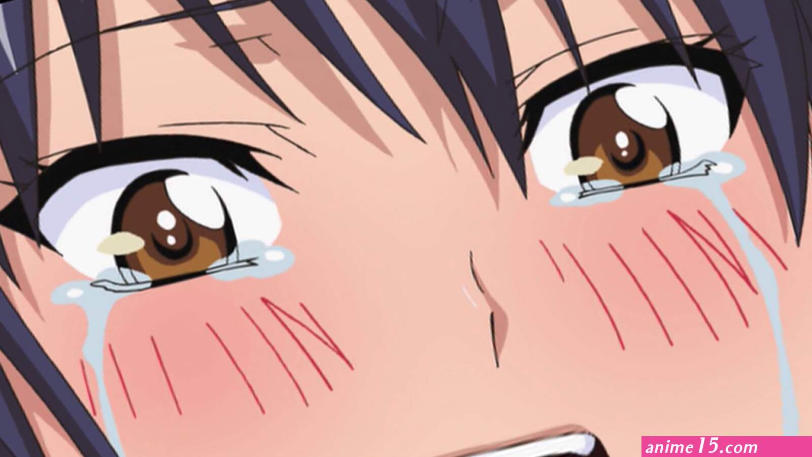 Ane Koi Archives