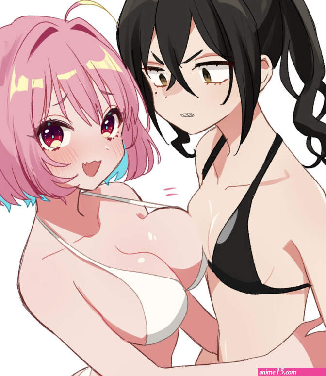 The Big ImageBoard TBIB
