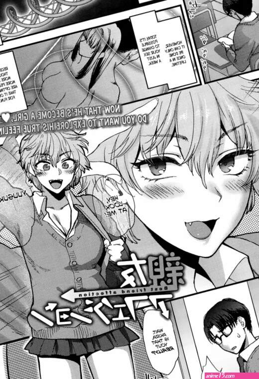 Shinyuu Affection
