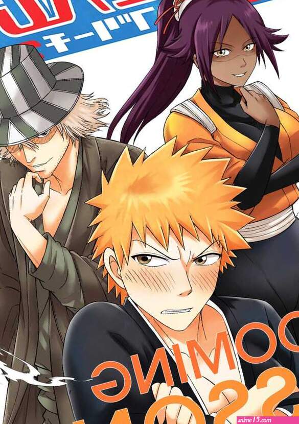 Bleach