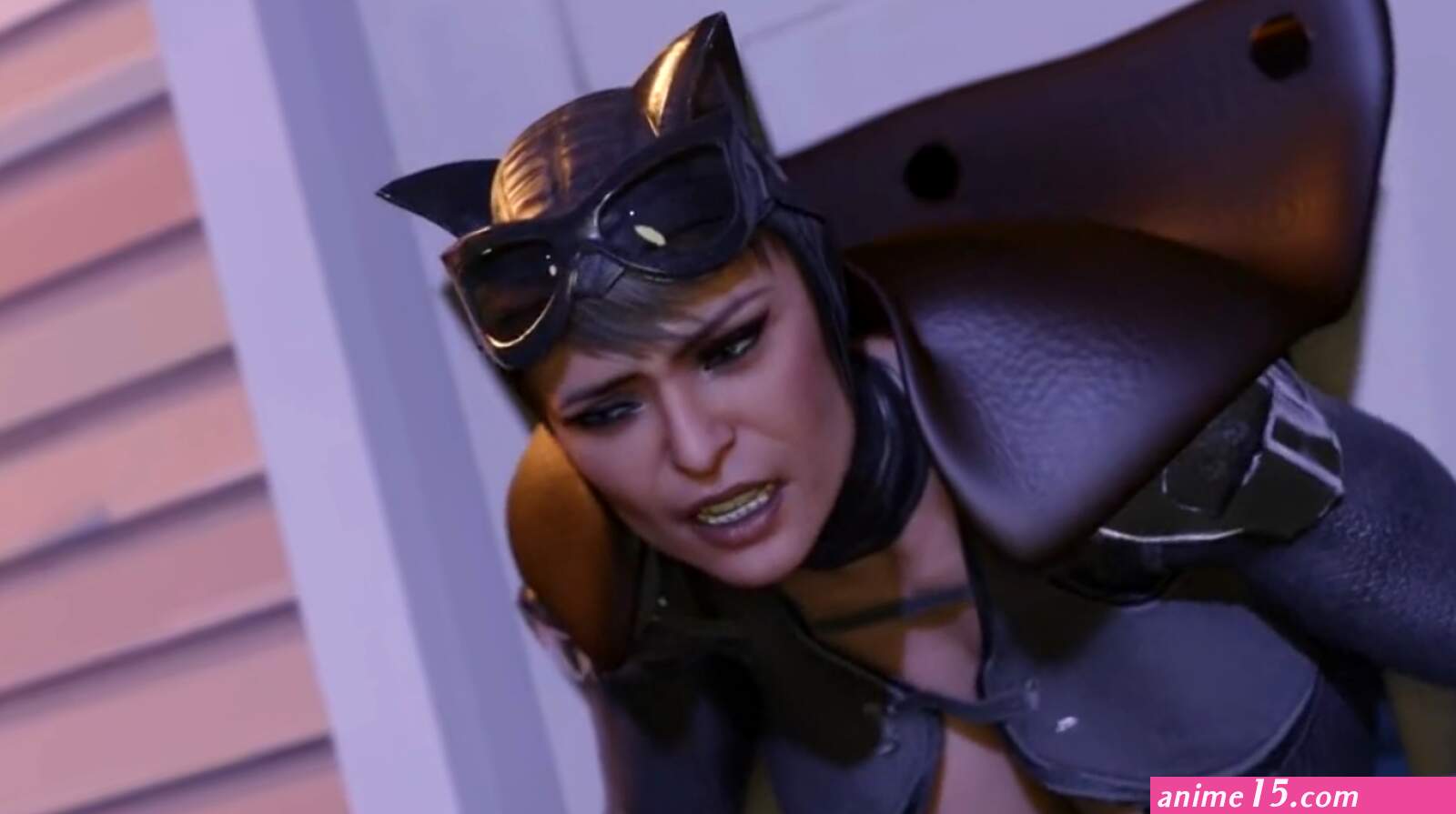 Catwoman Tried To Rob The Wrong House FullMetalDude