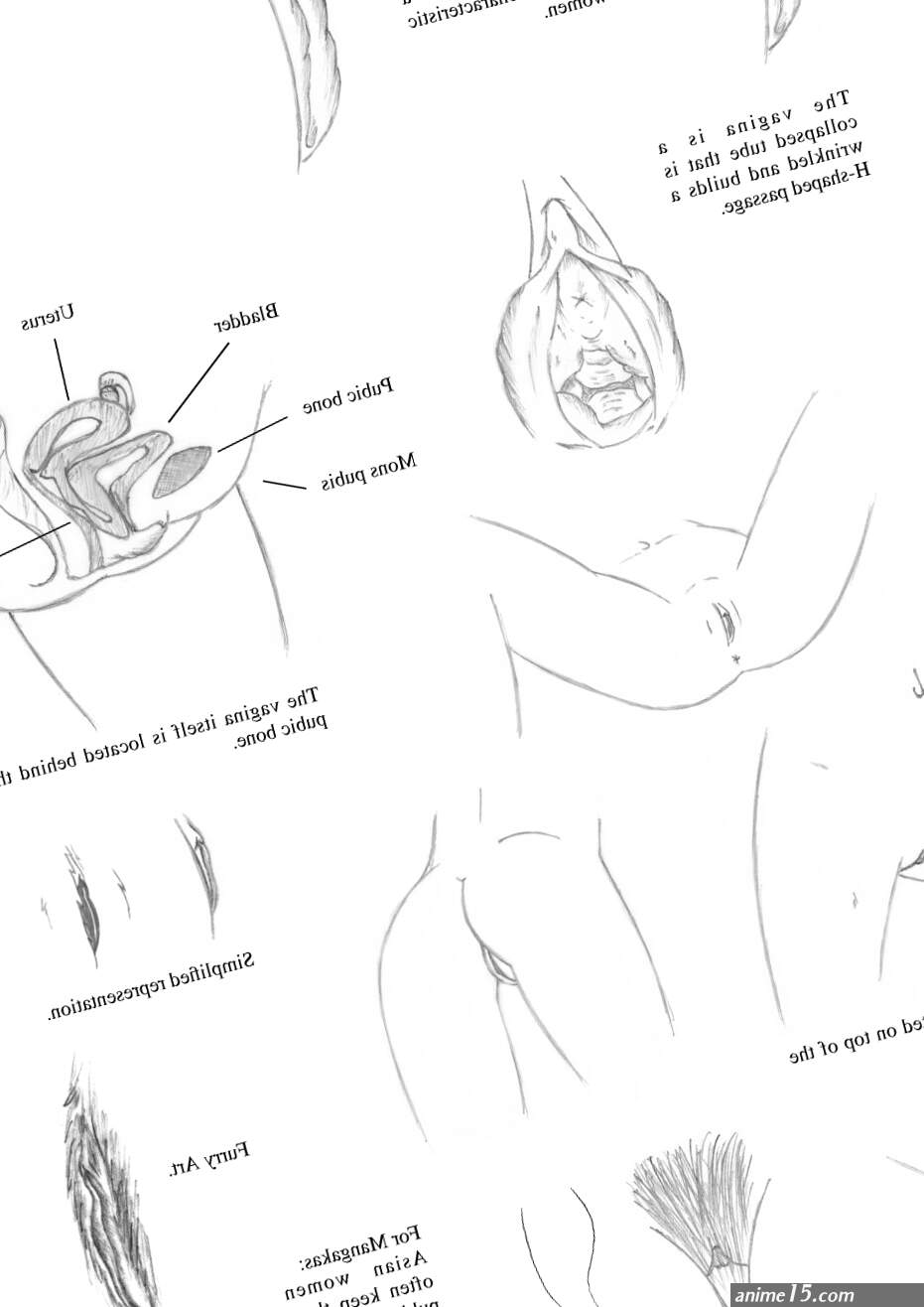 How To Draw Vagina by lionclaw1 on DeviantArt