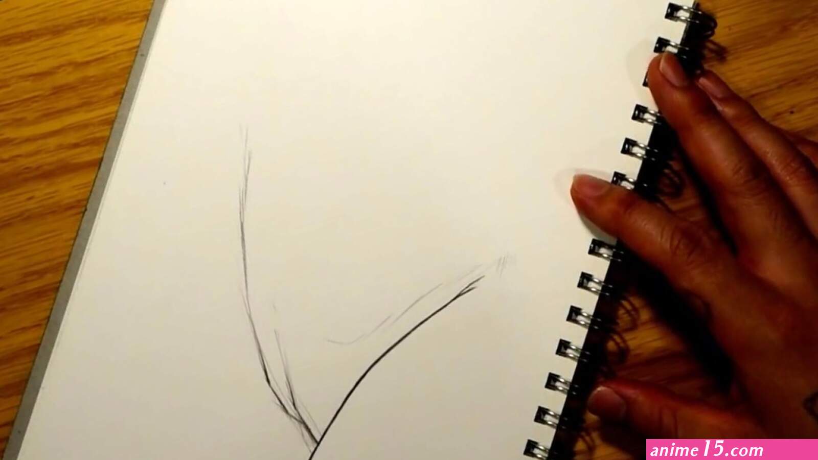 How To Draw A Hairy Pussy