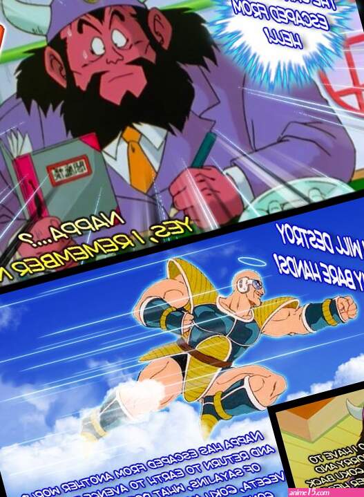 The Revenge of Nappa