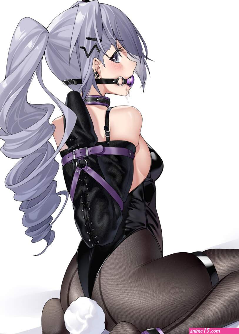 honkai series honkai: star rail hoyoverse mihoyo silver wolf honkai: star rail