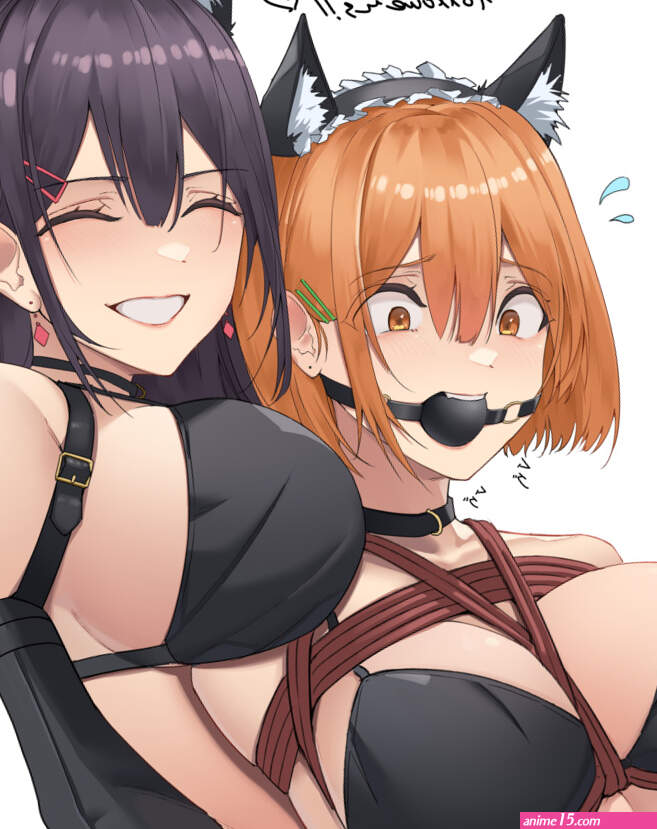 The Big ImageBoard TBIB