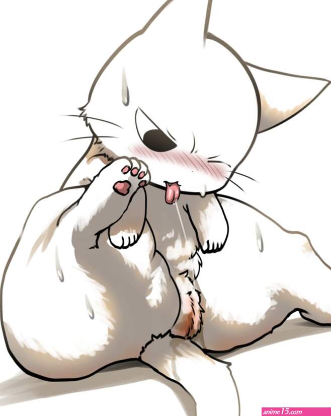 Rule 34