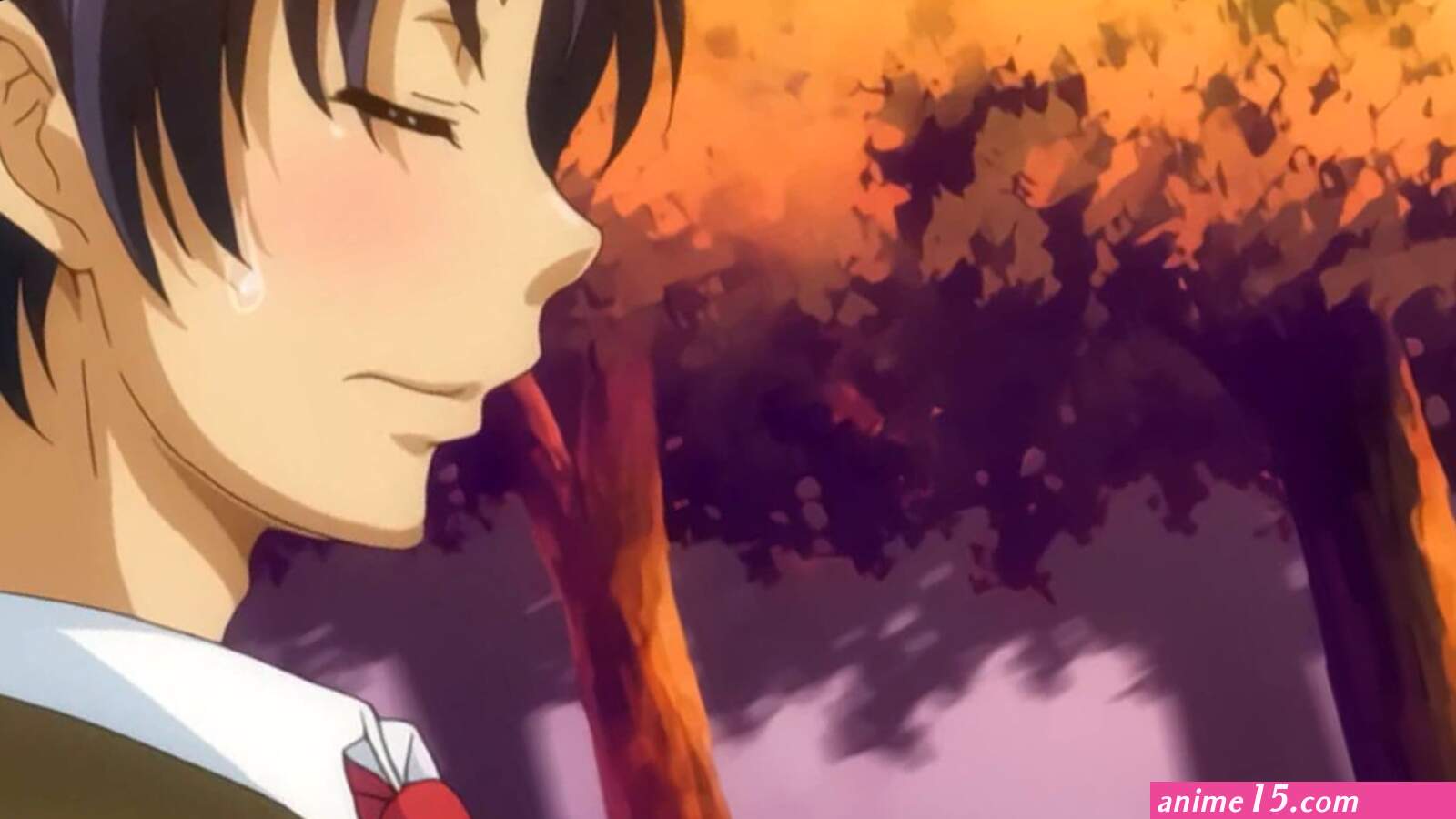 Fella Pure: Mitarashi-san Chi no Jijou The Animation Episode 1