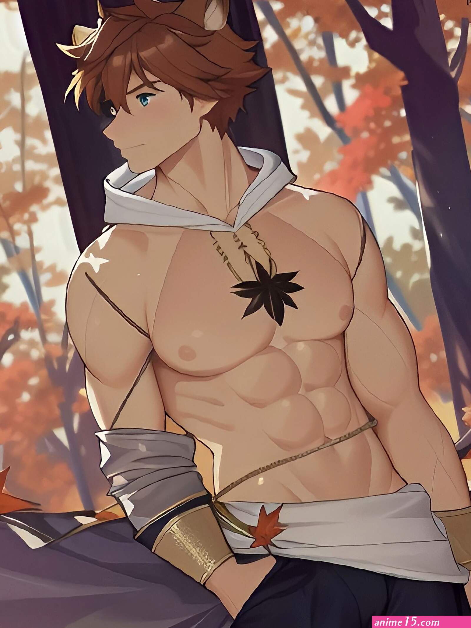Foxe