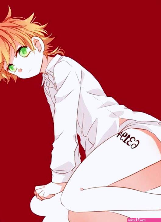 The Promised Neverland porn comics cartoon porn comics Rule 34