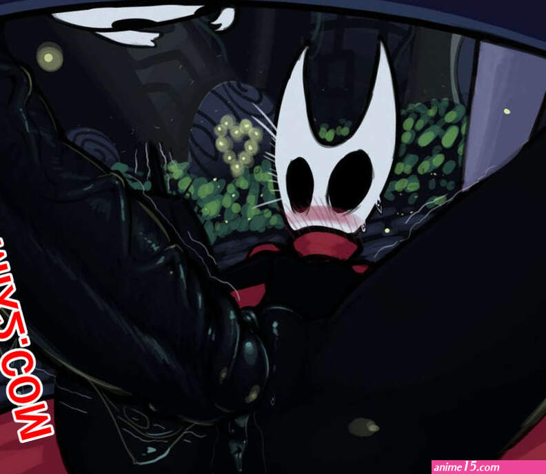 HOLLOW KNIGHT