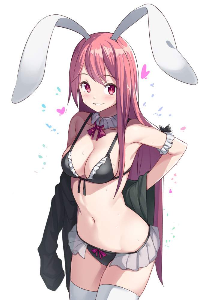 Sexy anime bunny girls