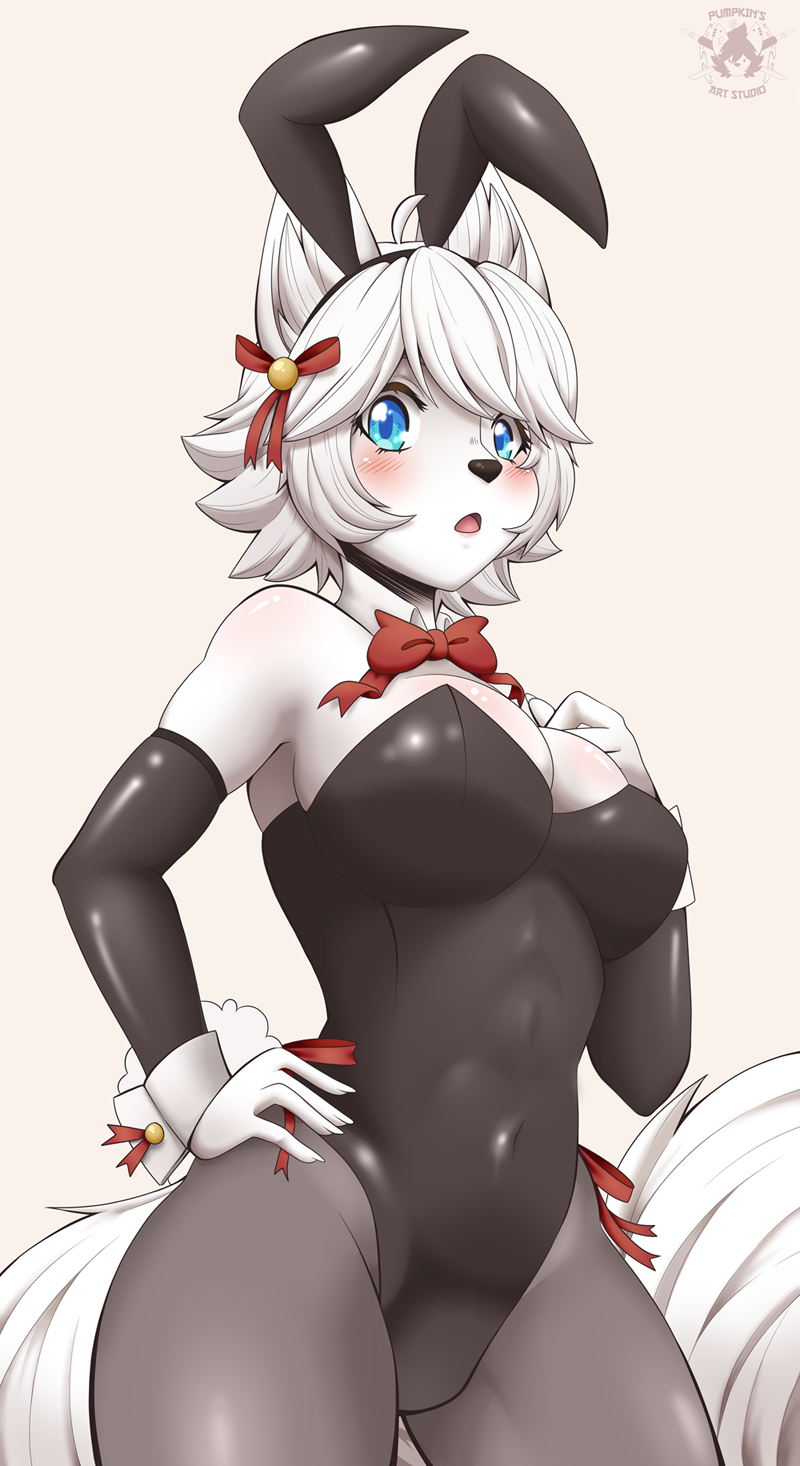 Sexy Bunny by pumpkinhyena -- Fur Affinity dot net