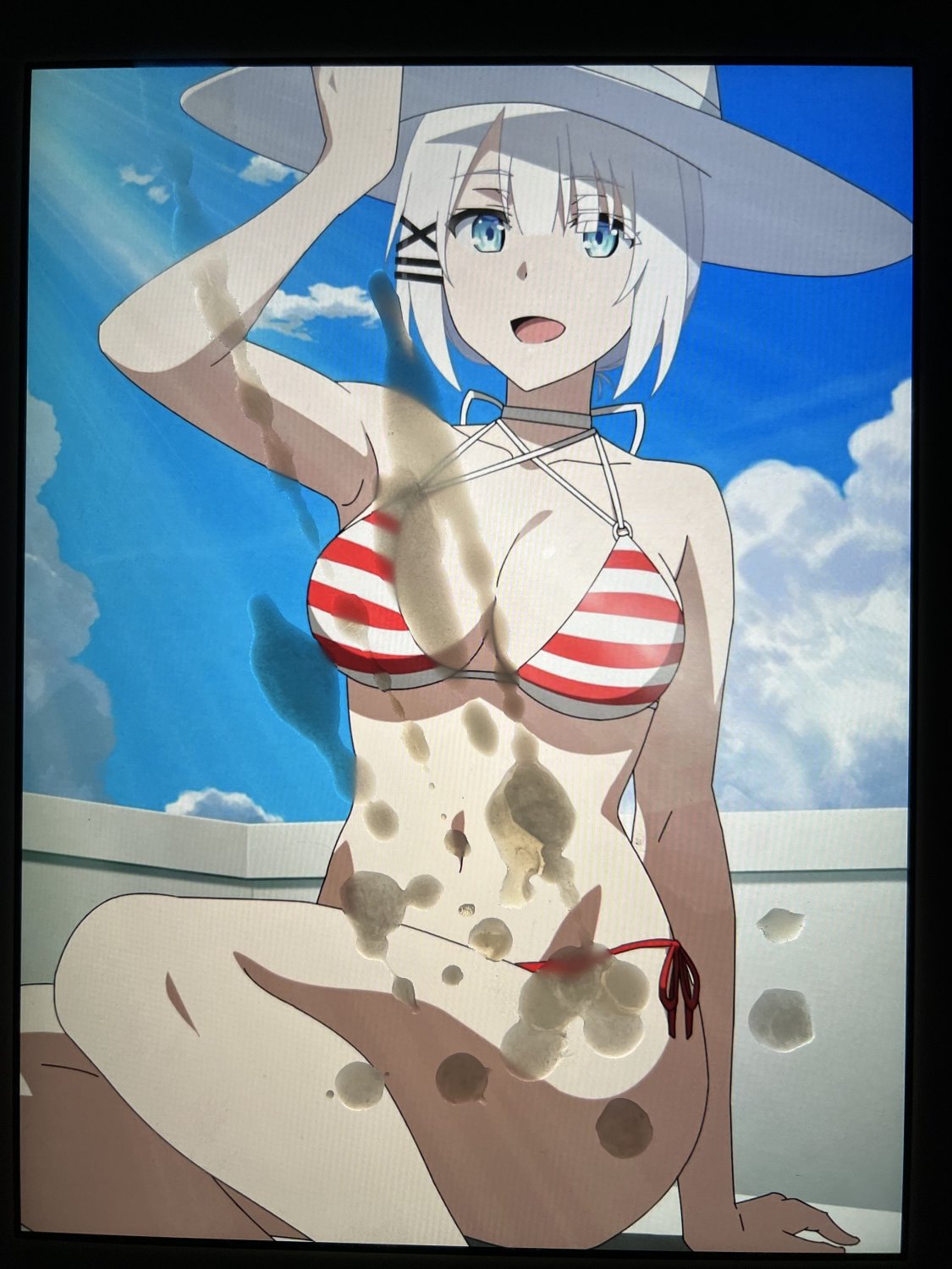 Siesta SoP